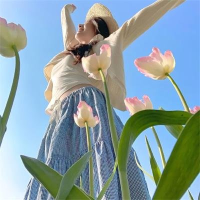 丁丁历险记第二季