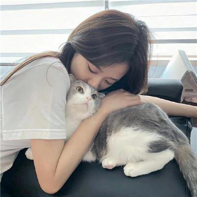 飞向月球
